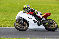 Advanced Group White Bikes